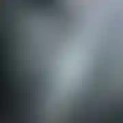 Michtom1