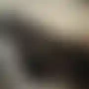 Analove96