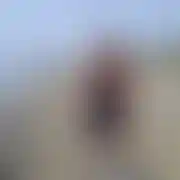 1Buleczka