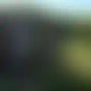 Orgasmatron89