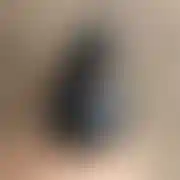 MilyPan43
