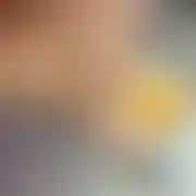 1MilyPan111