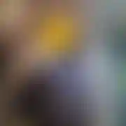 Realny55