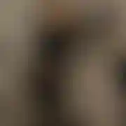 Niki29