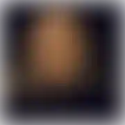 Byczek43