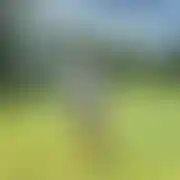 Lukas81kr