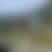 Sec126