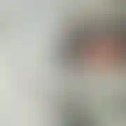 DzikiTatus
