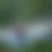 DawidPL
