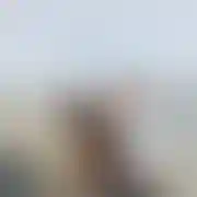 Bartezz11
