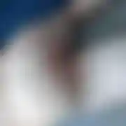 Dupek66