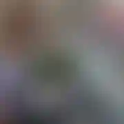 Nikosportoliko