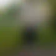 Grzesiek321