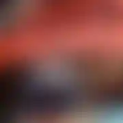 Kaczorek1234
