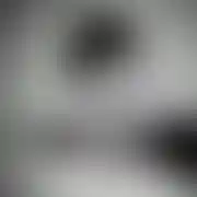 NOnameNofuck