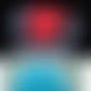 Edus233
