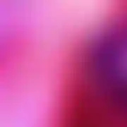 Powerdick