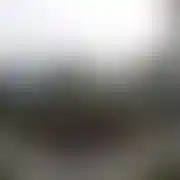 Erykbed18