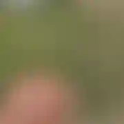 Dominato18 - mężczyzna, 39 lat, Żmigród