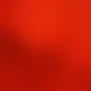 Michal241