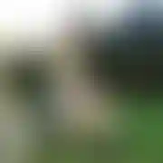 Kirill97