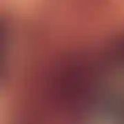 Pringleeessa