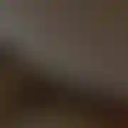 Cipacabras
