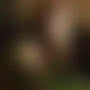 Grzegorzmagja