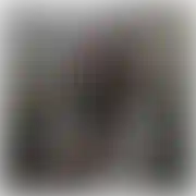 Spoko666