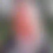 Mmrrsr - frau, 34 Jahre, Chicago
