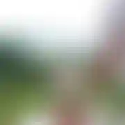 Grzech785678416