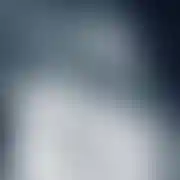 Bonus007