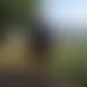 MlodyzdrowyL