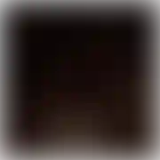 XdragX