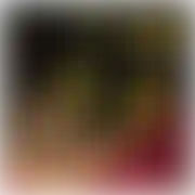 Marcinekx