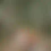 Cyrk