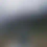 Absolu44