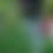 Binki