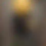 Alonewolfes