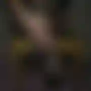 Paracuckold2