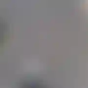 Zdecydowanii69