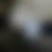 PassGLOGOWsex