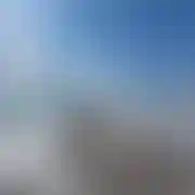 Sxbax