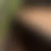 MilyRafal