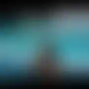 10181977