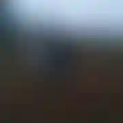 Bombelek12