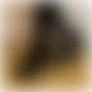 Janvinted