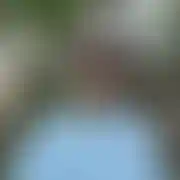 Rafael21