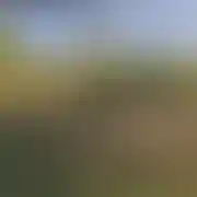 Nieznajomy0986