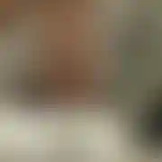 Ernlbn31